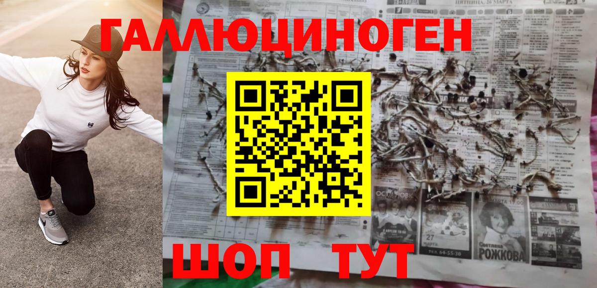 Псилоцибиновые грибы Psilocybe Чебаркуль