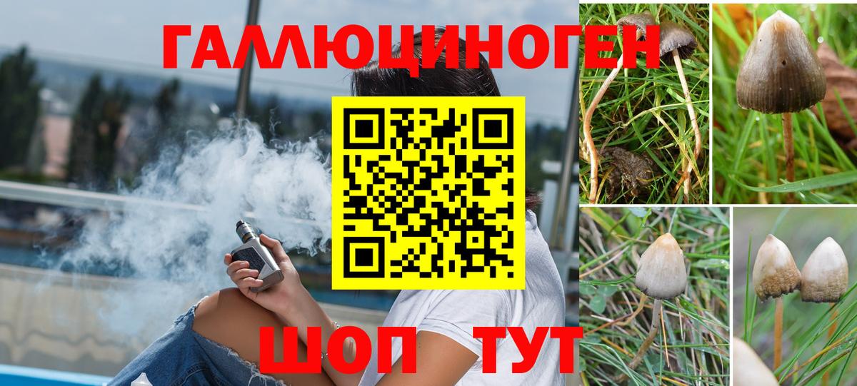 Псилоцибиновые грибы MAGIC MUSHROOMS  Псилоцибиновые грибы Cubensis  Чебаркуль  Вход с VPN 